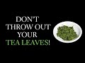 Dont throw out your tea leaves  do this instead