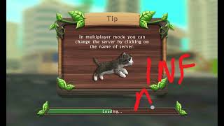 Cat sim Account by Jack  Account and Password Description 
