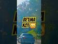 BE'EMA KOT