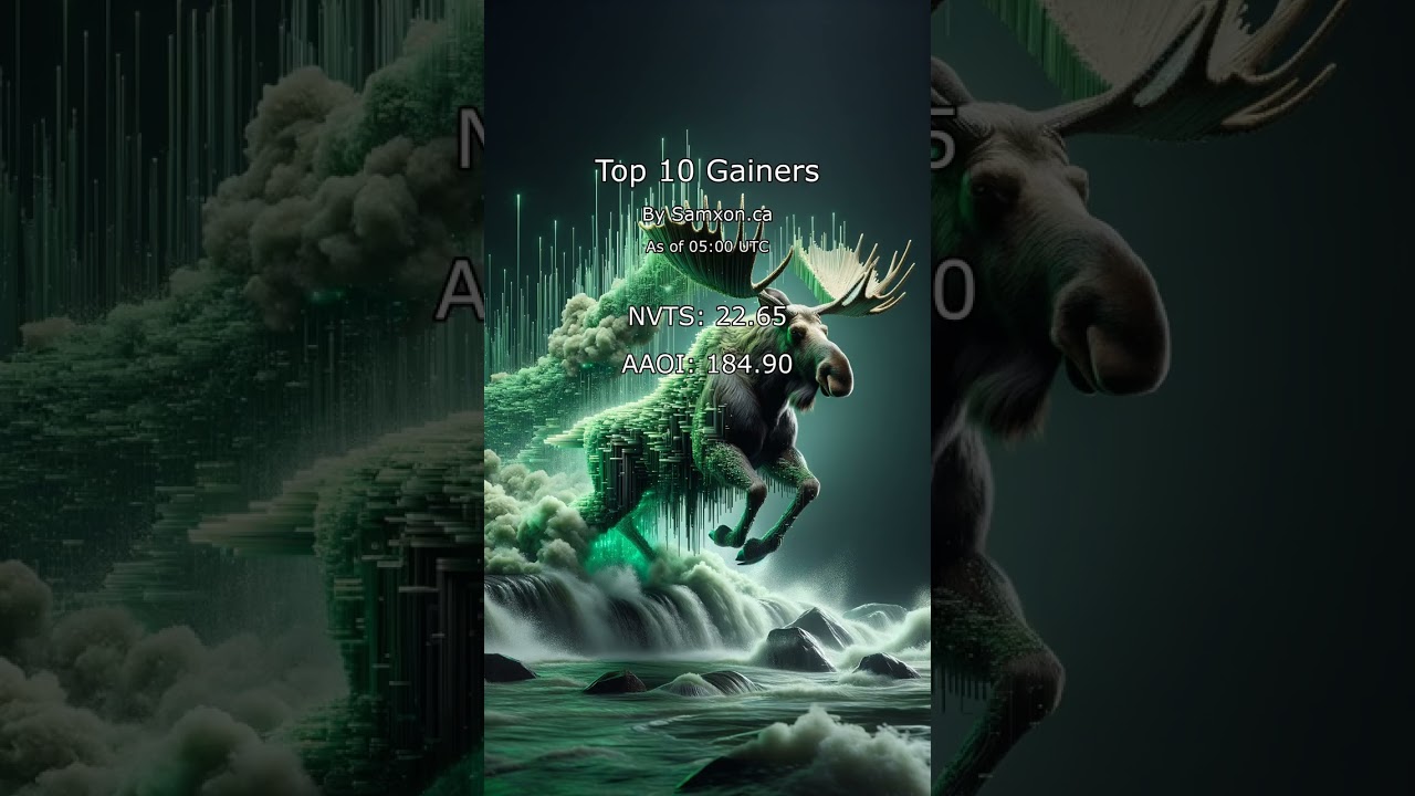 Top 10 Daily Stock Gainers