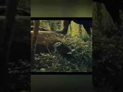 أفضل مشهد في مسلسل المؤسس عثمان الحلقة 56 