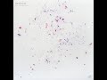 Clammbon, Yamazaki, Mino &amp; Yamane (Toe), Nujabes &ndash; Reflection Eternal / Imaginary Folklore [HOR-055]