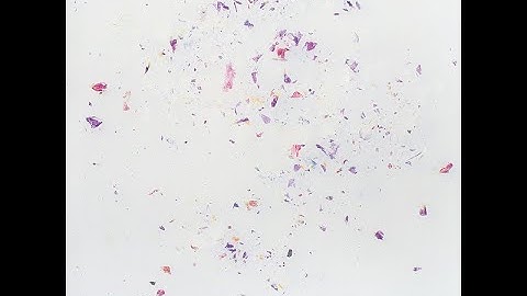 Clammbon, Yamazaki, Mino & Yamane (Toe), Nujabes – Reflection Eternal / Imaginary Folklore [HOR-055]