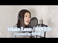 White Love / SPEED - Covered by 住田愛子