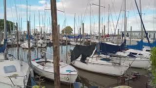 Yates en el Puerto de Olivos, provincia de Buenos Aires.