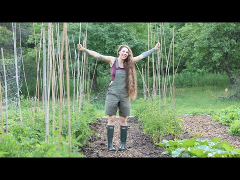 Future Planning for Future Food (what we’re growing!)
