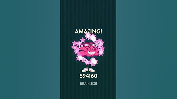 Wordbrain Hedgehog Level 6 Answers - Wordbrain Hedgehog Updated 2019