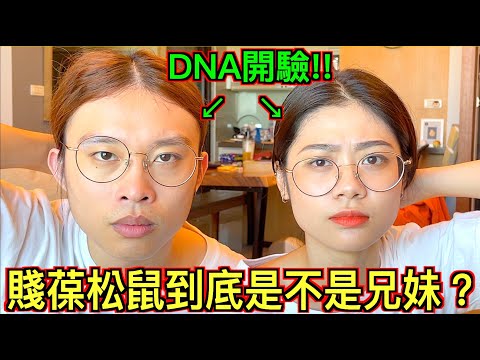 【破解身世之謎!!】花兩萬做ＤＮＡ親子鑑定！賤葆松鼠到底是不是兄妹！？