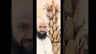 Syed Zulfiqar Shah Gillani 2023 Hajj