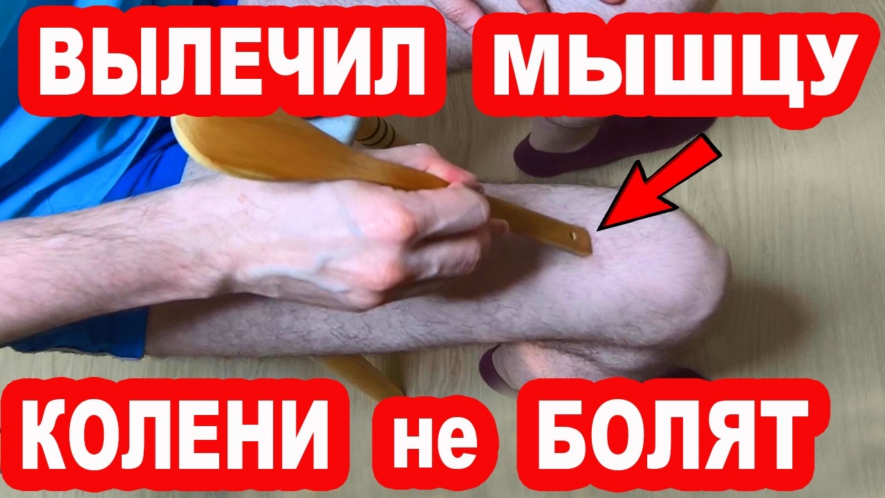 ����������� ����������� ����������: ����.