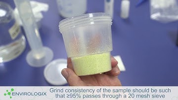 Mycotoxin Testing with Common Extraction