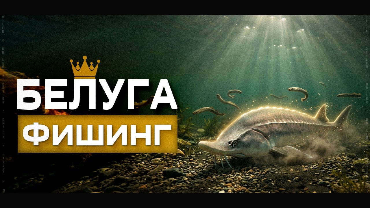 БЕЛУГА ФИШИНГ • Ловим Белугу на реке СЕВЕРСКИЙ ДОНЕЦ • Русская Рыбалка 4