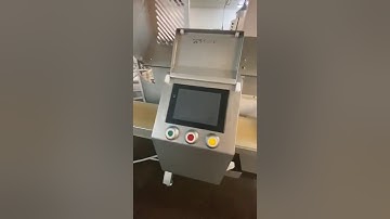 Marel MSC650-45 Salmon slicer