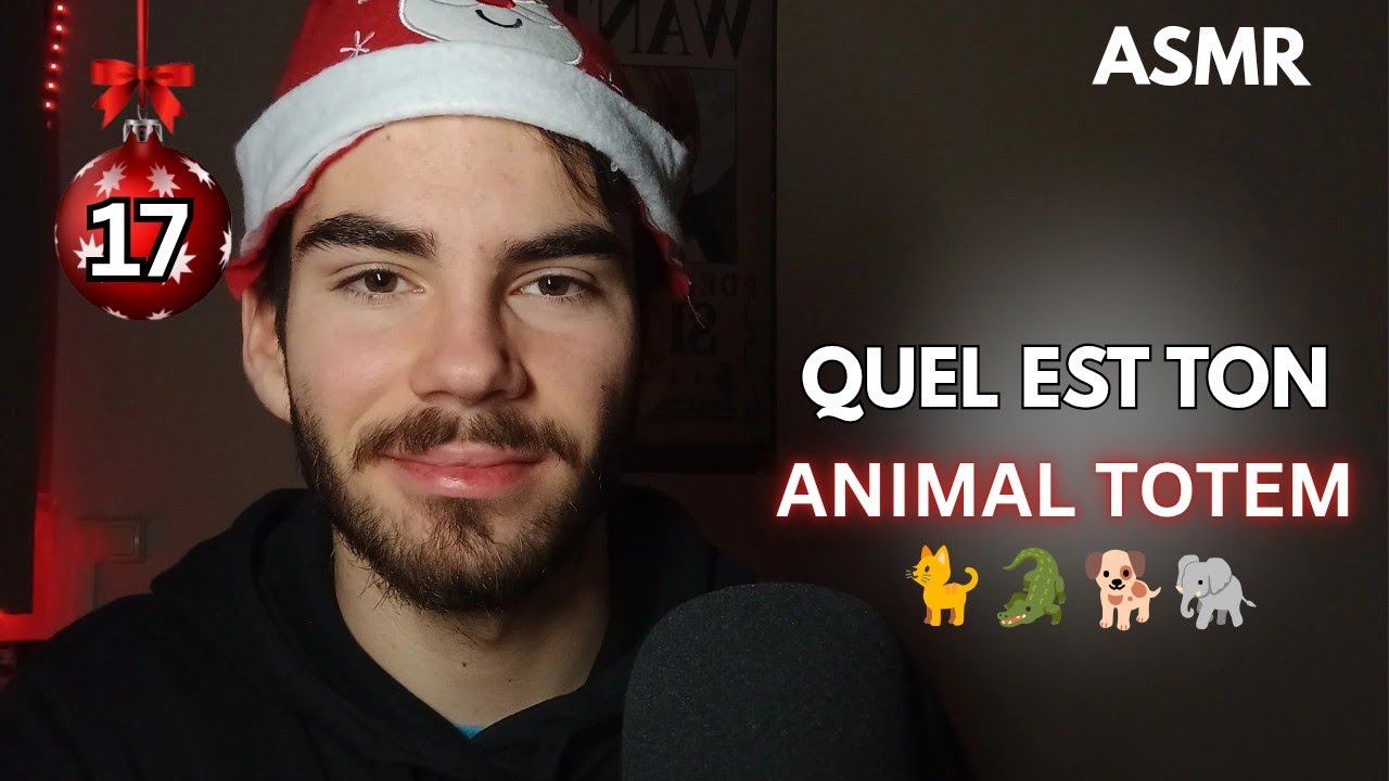 Calendrier de l'avent ASMR 17/24 🎄 - Test - Quel est ton animal totem ? 