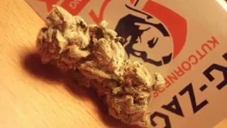 Totse Bltc Collection