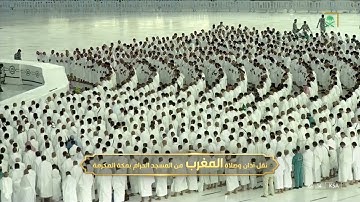 صلاة المغرب | للشيخ فيصل غزاوي 14 ذو القعدة 1443هـ | من سورة الحج 8 - 16