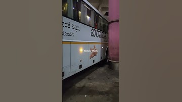 Experienced VOLVO Driver