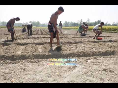 ভিডিও: হাঁটার পিছনে ট্র্যাক্টরের জন্য নিজে নিজে আলু খনন করুন: আলুর জন্য ঘরে তৈরি গর্জনকারী খনকের মাত্রা। একটি অঙ্কন অনুযায়ী একটি পরিবাহক আলু খননকারী কিভাবে?