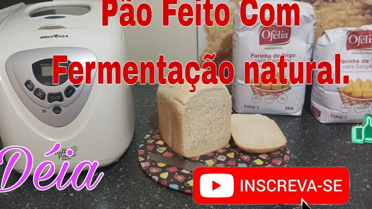 ✍️Como fazer Pão com Fermento Natural Na Panificadora🥖🍞