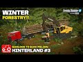 MAKING MONEY FROM FORESTRY WORK!! [Hinterland $100,000 To $100 Million] FS22 Timelapse # 3