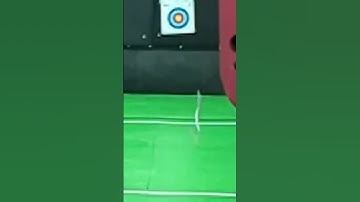 Barebow bareshaft slow motion