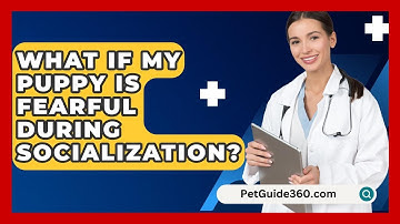 What If My Puppy Is Fearful During Socialization? - PetGuide360.com