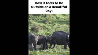 Literally 2017 Ahh Nature