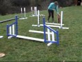 Puppy Foundation Agility - 6 months old Puppy Foundation Agility - 6 months old