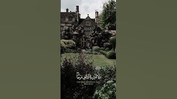 حالات دينيه//تلاوة هادئة//القرآن الكريم//القارئ اسلام صبحي #قرآن #القرآن_الكريم #قران_شاشة_سوداء