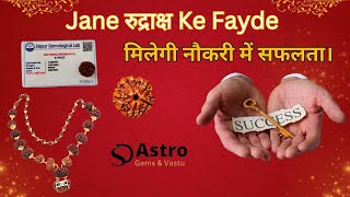 Jane Rudraksha Ke Fayde l नौकरी सफलता l Naukri Pane Ke Upay l जल्दी नौकरी पाने के लिए उपाय l YouTube