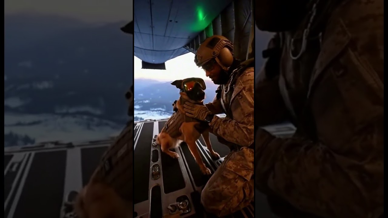 Elite K9 vs Threat | Tactical Dog Action🐕‍🦺🔥 