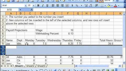 Excel 2003 Tutorial Inserting & Deleting Columns & Rows Microsoft Training Lesson 6.5