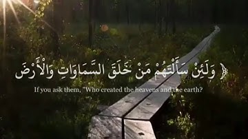 سورة الزمر بصوت عبدالوهاب طاهر | Surah AlZumor