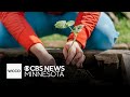 Garden shop co-owner shares if it's too early to plant in Minnesota