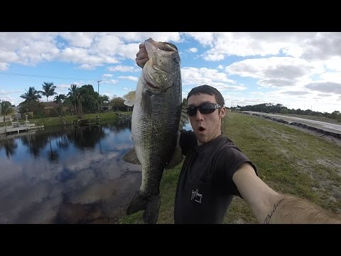 Two 9lb Florida Canal Largemouth Bass. Fishing Florida Day 1