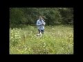 gundog training Bringing it together first shot pigeon for a springer spaniel gundog training Bringing it together first shot pigeon for a springer spaniel