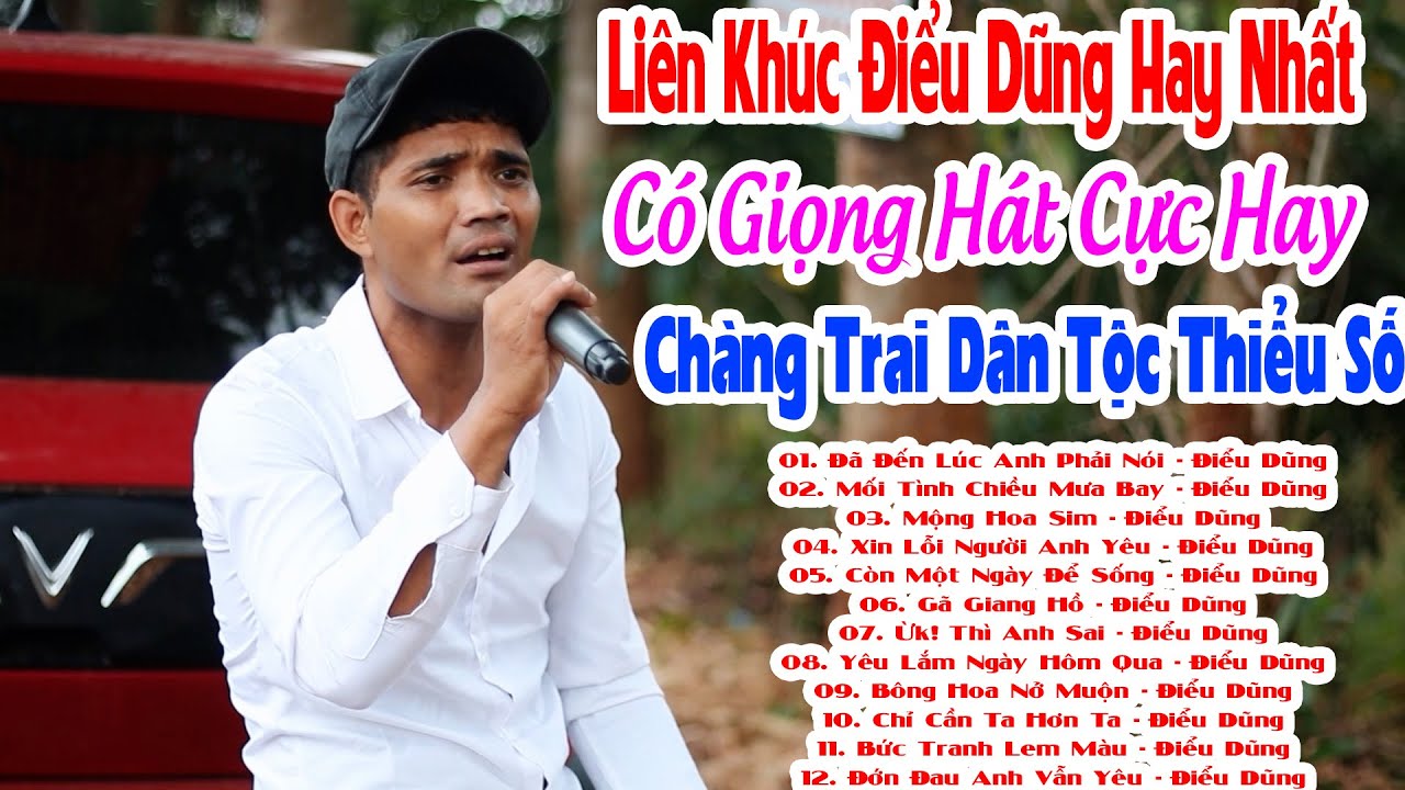 Liên Khúc Điểu Dũng Hay Nhất | Đã Đến Lúc Anh Phải Nói - Điểu Dũng | Chàng Trai Dân Tộc Hát Hay
