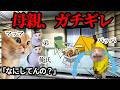 父親が何も相談しなかったのでお母さんが限界を迎えた瞬間まとめてみたwww #猫ミーム #猫マニ