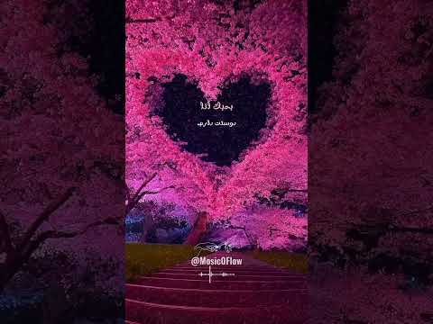       فضل شاکر و الیسا جوا الروح قلبی أغاني ترند