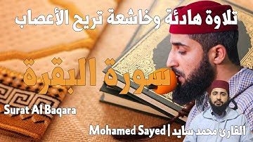 محمد السايد سورة البقرة|Mohamed Sayed-Surat Al Baqara طاردة الشياطين|السحر|رقية شرعية|جودة عالية
