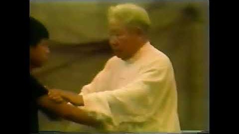 Fu Zhong Wen walking Push Hand Drills