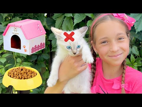 Видео: Sofia rescues a lost Kitten and makes a Playhouse