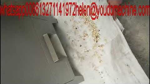 Almond hazelnut cashew shell kernel separator machine cracking machine