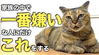 猫が家族の中で一番嫌いな人に見せる行動