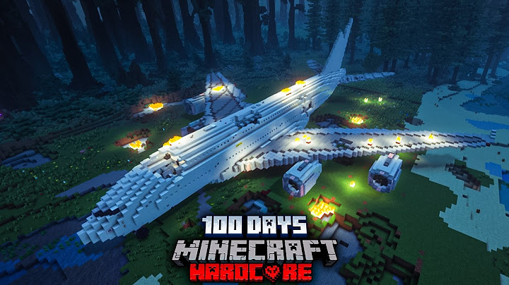 We Survived 100 Days in a Plane Crash in Minecraft Hardcore... Here's What Happened