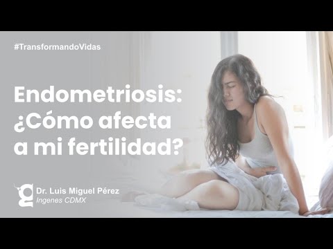 Endometriosis: ¿Cómo afecta la fertilidad? | Ingenes