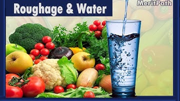 class IV Science Food and Digestion