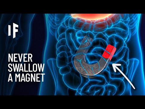 What If You Swallowed the World's Most Powerful Magnet?