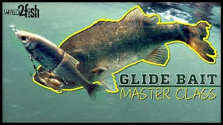 Glide Bait Bass Fishing  | Everything You Need to Know ‼️