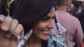 Faîtes le plein d’émotions dans le vignoble des rois